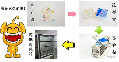 樣本凍存解決方案之凍存架、凍存盒、凍存管