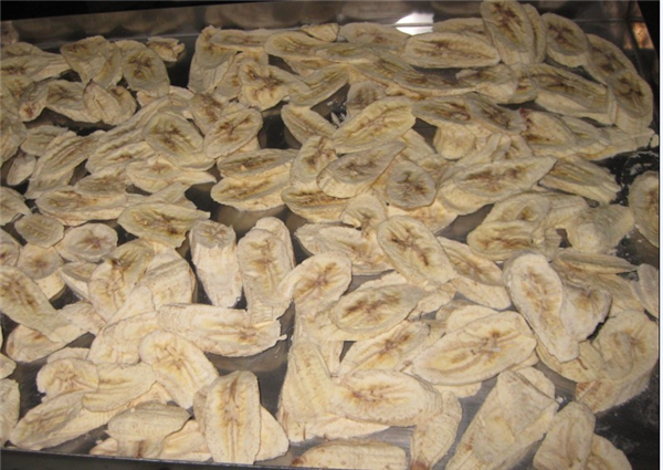 了解低溫冷凍干燥機(jī)從特點及選購要點開始