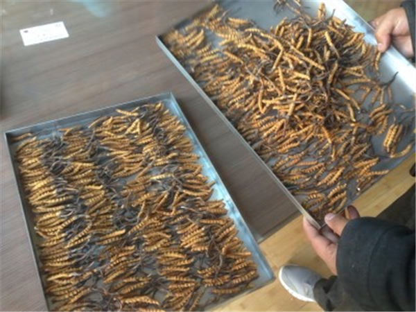 低溫冷凍干燥機(jī)的冷凝器如何進(jìn)行除霜處理？