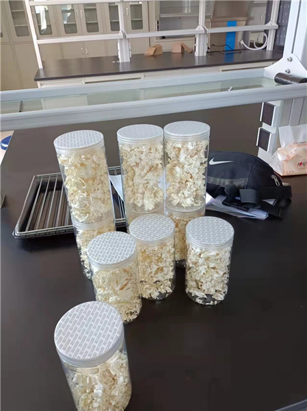 如何使用能延長凍干機的使用壽命？
