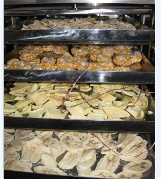 冷凍干燥機(jī)在食品凍干加工中需要注意哪些細(xì)節(jié)？