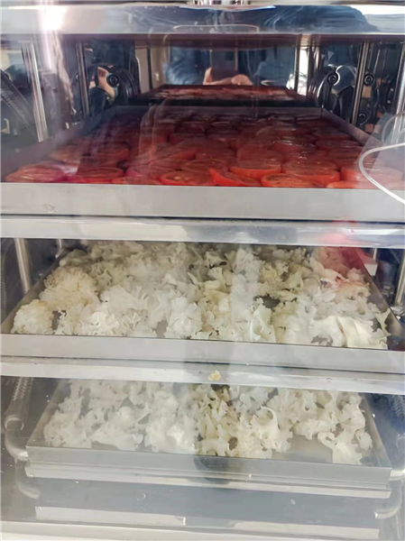 如何使用冷凍干燥機能延長其使用壽命？